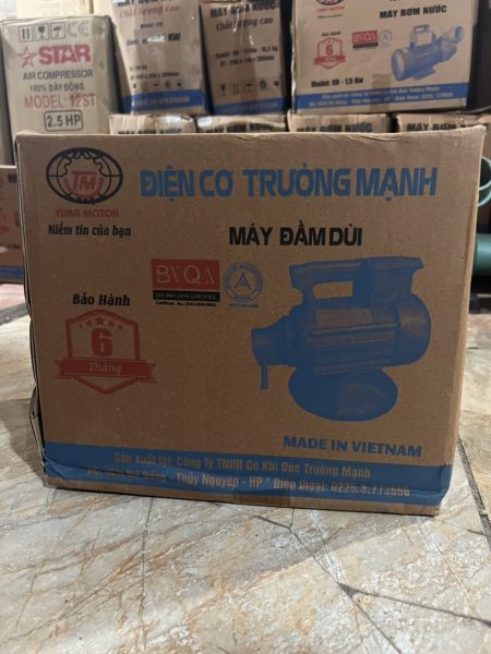 Dam-dui-Truong-Manh-1.5KW (3)