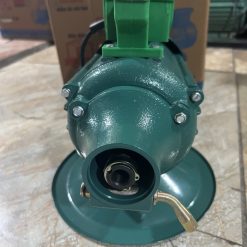 Dam-dui-Truong-Manh-1.5KW (5)