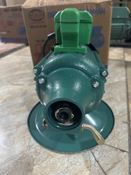 Dam-dui-Truong-Manh-1.5KW (5)