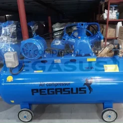 may-nen-khi-pegasus-500l-7-5hp380v-model-tm-v-0-67-12-5-500l-380v