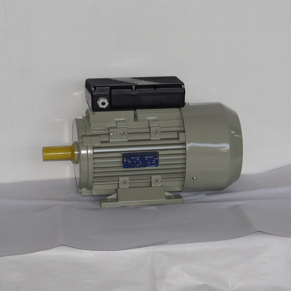 dong co 1 pha 2.2kw 2 cuc dien 600x600 1