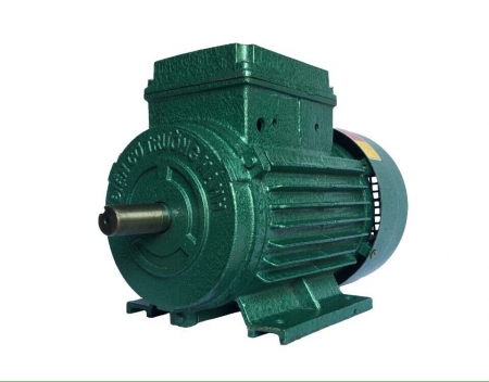 dong co dien 1pha truong manh 22kw