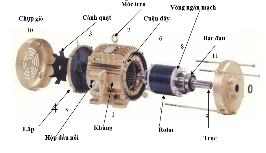 Động cơ điện Hà Nội chất lượng 100% dây đồng