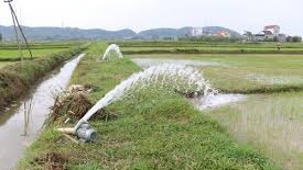 Mua ngay máy bơm hút nước thải đặt nổi Trường Mạnh 1.1KW, 1.5KW, 1.7KW, 2.2KW