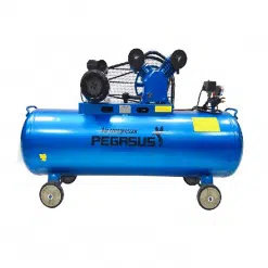 May-nen-khi-Pegasus-180L-TM-V-0.25-12.5-180L