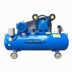 May-nen-khi-Pegasus-180L-TM-W-0.6-8-180L (1)
