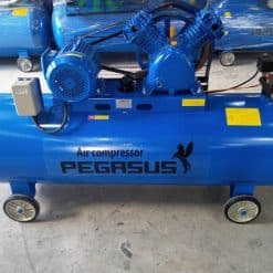 May-nen-khi-Pegasus-180L-TM-W-0.6-8-180L (2)