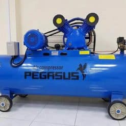 May-nen-khi-Pegasus-180L-TM-W-0.6-8-180L (3)