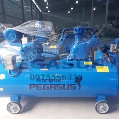 Máy nén khí Pegasus 330L TM-W-1.0/8-330L 10HP 3 May-nen-khi-Pegasus-330L-TM-W-0.9-8-330L (2)