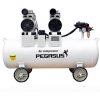 Máy nén khí không dầu Pegasus TM-OF750x2-70L 2HP 2 May-nen-khi-Pegasus-TM-OF750x2-70L