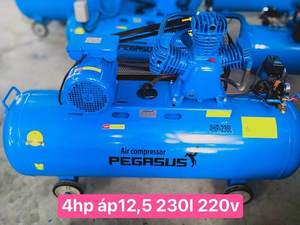 Máy nén khí Pegasus 230L TM-W-0.36/12.5-230L Máy nén khí Pegasus 230L TM-W-0.36/12.5-230L