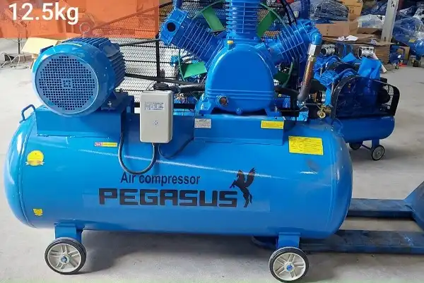 Máy nén khí Pegasus 230L TM-W-0.67/12.5-230L 7.5HP 5 Máy nén khí Pegasus 230L TM-W-0.67/12.5-230L