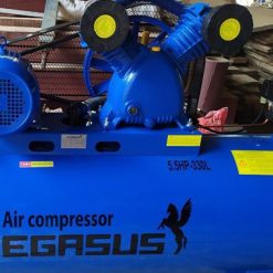 Đầu máy nén khí piston Pegasus 5.5HP 5 Dau-may-nen-khi-piston-Pegasus-5.5HP (3)