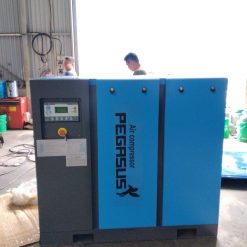 May-nen-khi-truc-vit-bien-tan-Pegasus-TMBT175A (1)