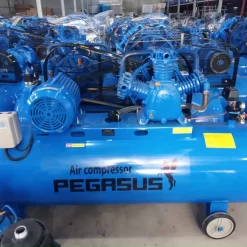 Máy nén khí Pegasus 330L TM-W-0.36/12.5-330L 4HP 3 may nen khi ap 12.5kg