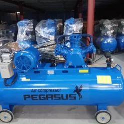 may nen khi pegasus 12.5kg 1