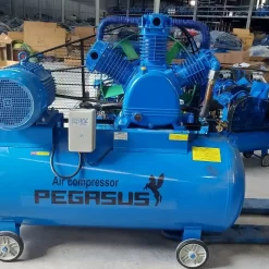 Máy nén khí Pegasus 330L TM-W-1.6/12.5-330L 15HP 3 may nen khi pegasus 12.5kg 4