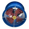 Quat-thong-gio-cong-nghiep-tron-TM-250-2-Wing-25cm-toc-nhanh (1)