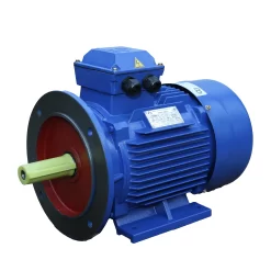 Động cơ mặt bích chân đế