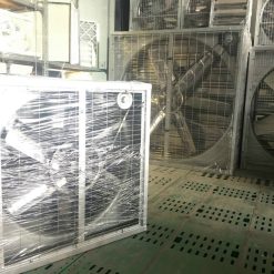 quat thong gio vuong 2