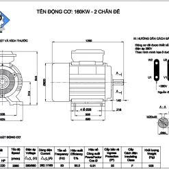 mo to dien 3 pha 160kw 2900v