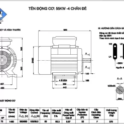 Mô tơ điện 3 pha 55kw 9 mo to dien 3 pha 55kw 1450v