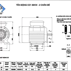 Mô tơ điện 3 pha 55kw 10 mo to dien 3 pha 55kw 2900v