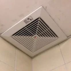 quat hut mui am tran 1